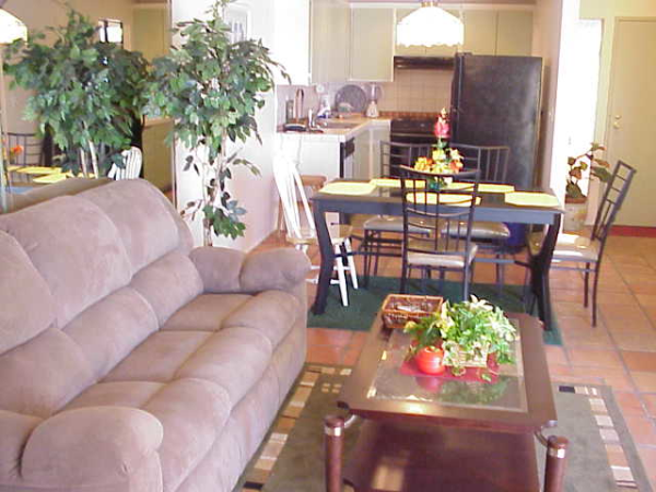 living room and dining room living room and dining room