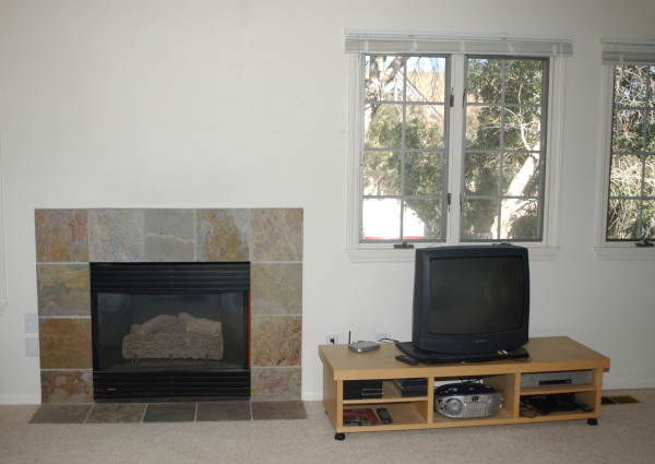 Livingroom Fireplace and TV