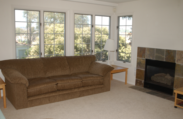 Livingroom with Outside View