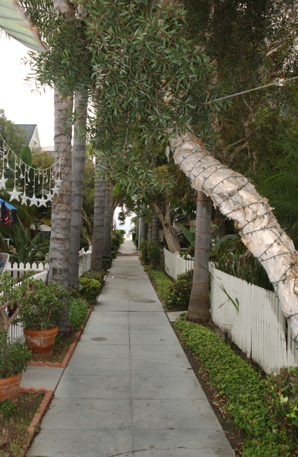 sidewalk view tropical look sidewalk view tropical look