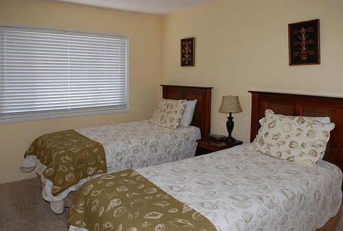2nd bedroom twins