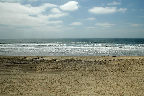 ocean view from living room