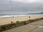 3755 Ocean Front Walk #4